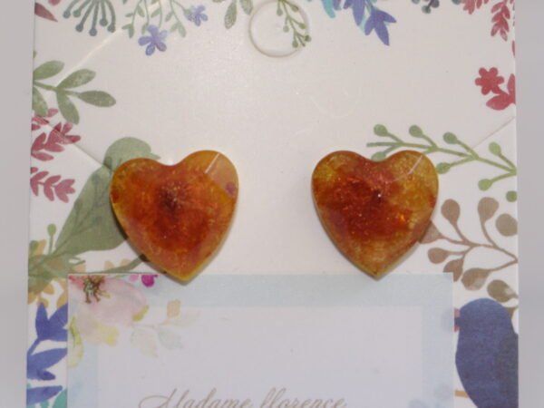 Clou d'oreilles en coeur